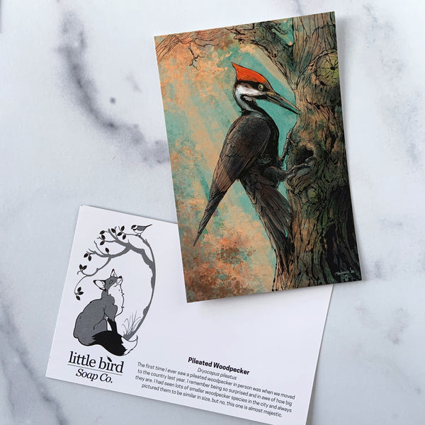 Postcards